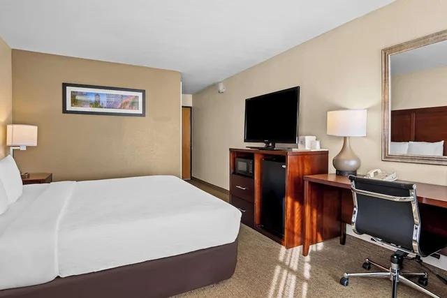 جناح بسرير كينج مع أريكة، Quality Suites Irving-Las Colinas 1/10