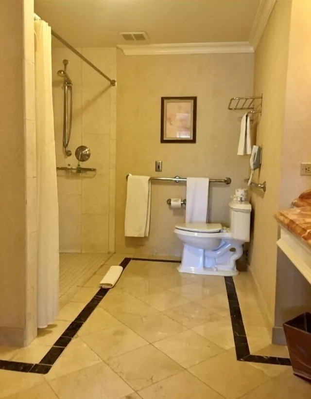Classic, King Bed, Town View, City View, Accessible، Delamar Greenwich Harbor 7/7