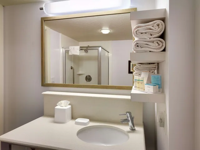 جناح استوديو بسرير كينج مع أريكة، Hampton Inn Salt Lake City-Downtown 10/10
