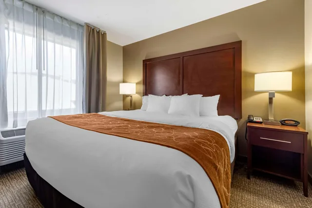 Efficiency, Suite, King Bed, Accessible، Comfort Suites Bridgeport Clarksburg 1/2