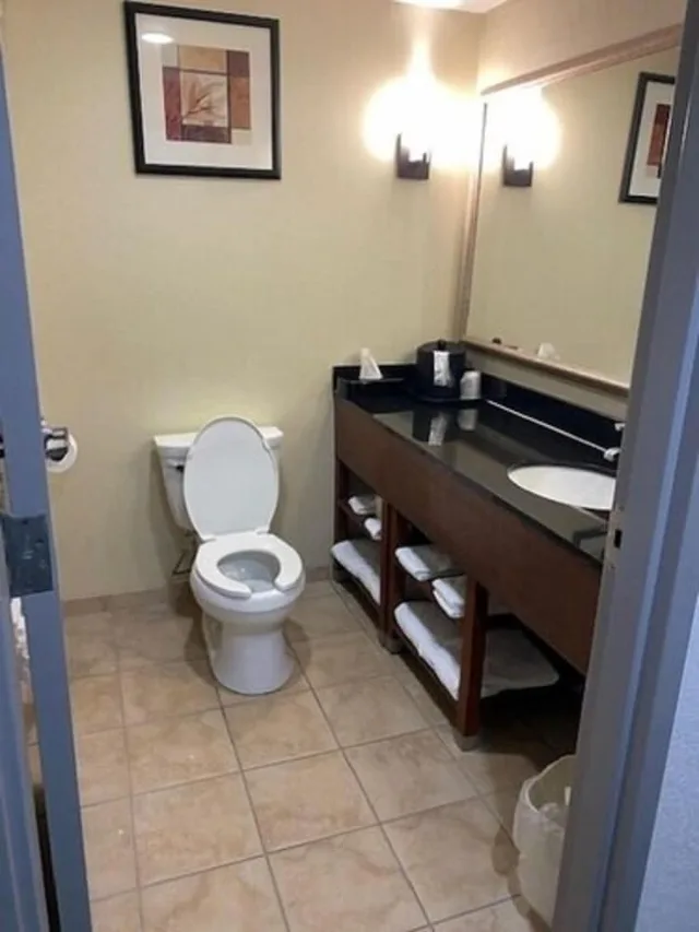 جناح مع أريكة، Comfort Suites Salem Roanoke I 81 9/9