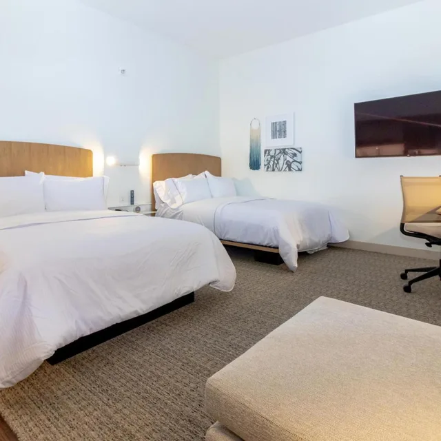استوديو بسرير كوين لذوي الإعاقة، Element St. Louis Midtown 4/8