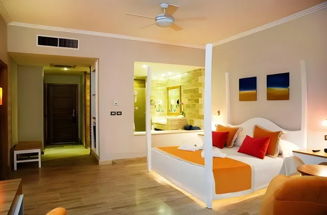 غرفة سوبيريور مفردة، Cofresi Palm Beach and Spa Resort All Inclusive 3/3