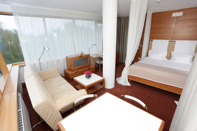 Junior Suite, King Bed, Luxury Building، PALANGA SPA DESIGN HOTEL 3/5