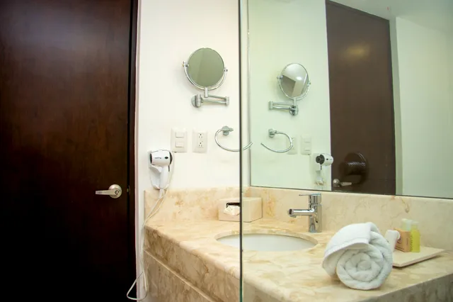 غرفة تنفيذية بسرير مزدوج، Meson de La Luna Hotel Spa 7/8