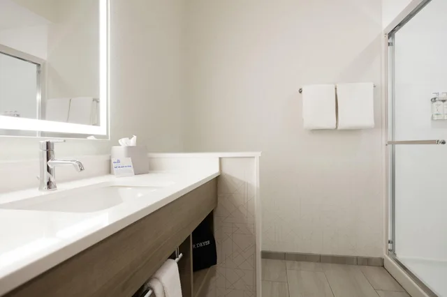 غرفة بسريرين كوين لذوي الإعاقة، Holiday Inn Express Denver Central - North 1/1