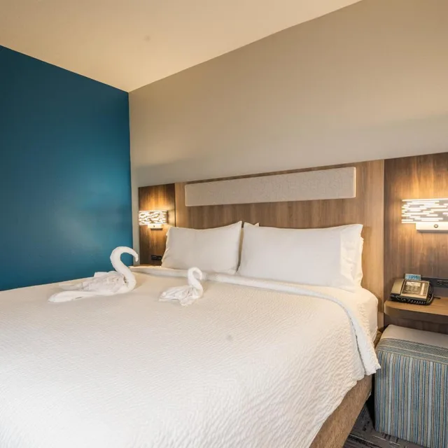 جناح بسريرين، Holiday Inn Express Suites Tampa Northwest Oldsmar 2/6