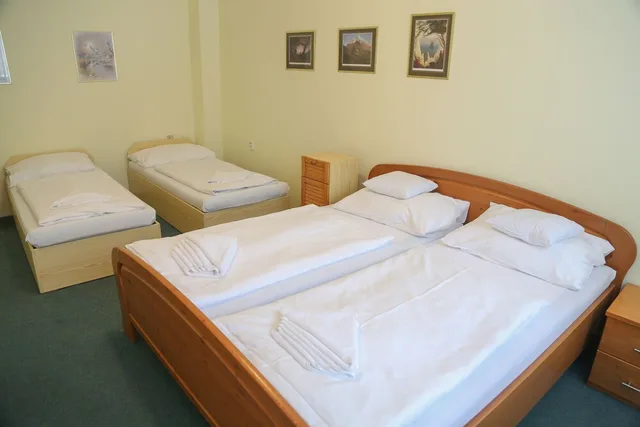 جناح استوديو بسرير كوين وسريرين منفصلين بغرفة نوم واحدة، Sport Resort Hotel Gejzirpark 1/3