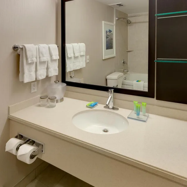 جناح بسرير كوين مع أريكة، Niagara Fallsview Hotel & Suites 1/3