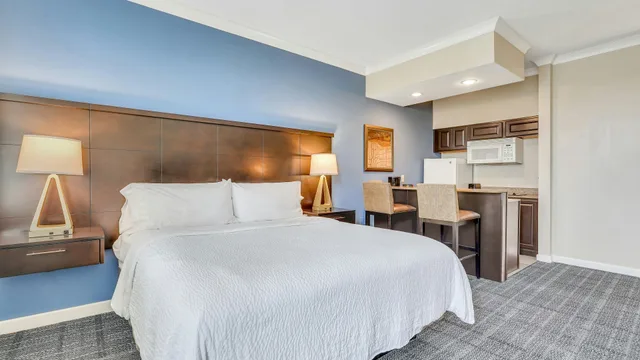 جناح استوديو داخلي بسرير كينج، Staybridge Suites Savannah Historic District 3/3