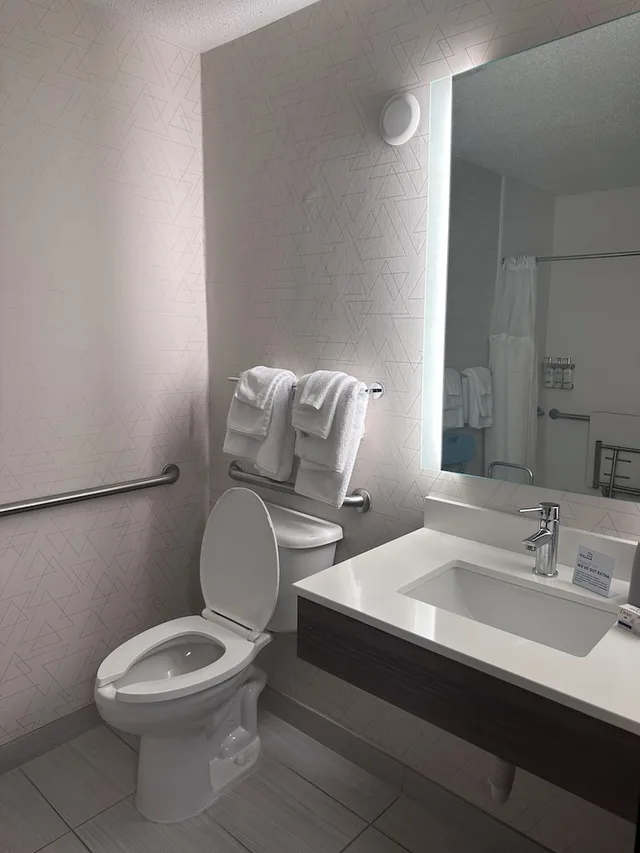 غرفة قياسية بسرير كينج لذوي الإعاقة، Holiday Inn Express & Suites Southfield - Detroit 2/2