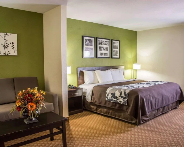 جناح بسرير كينج، Sleep Inn & Suites Cullman I-65 exit 310 2/5