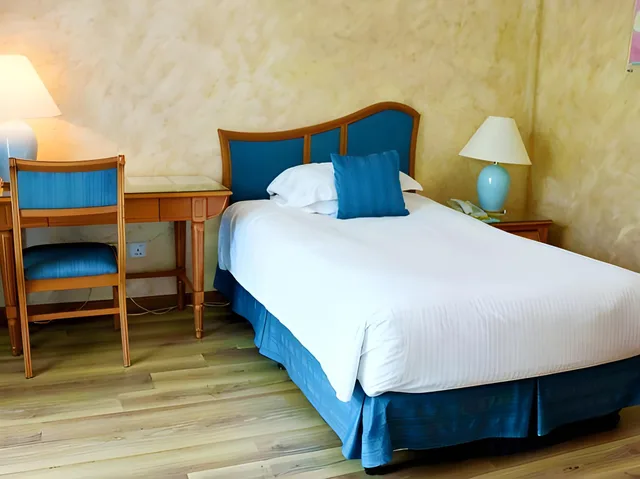 غرفة سوبيريور مفردة، Grand Palace Hotel 4/4