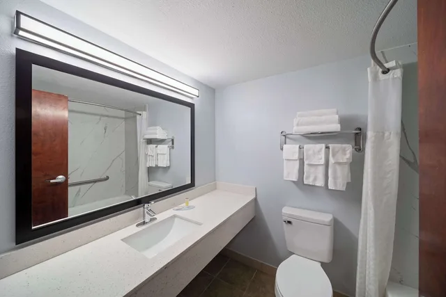 جناح بسرير كينج بمطبخ صغير، Super 8 by Wyndham Alexandria LA 4/5