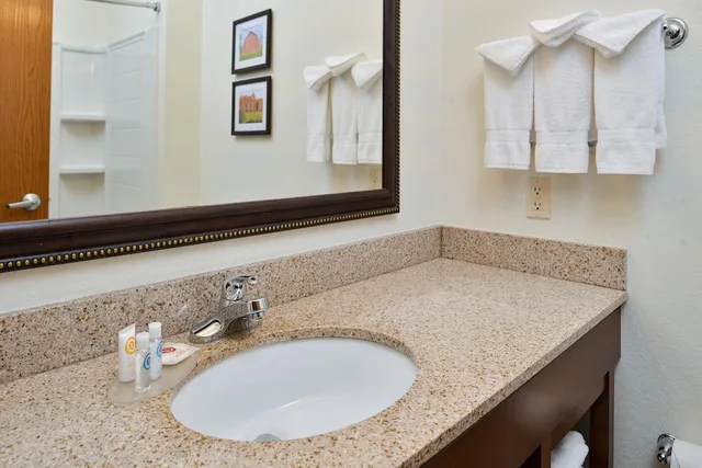 جناح بسرير كينج مع أريكة بمنطقة جلوس بحوض جاكوزي بمطبخ صغير، Comfort Inn And Suites Madison North 5/7