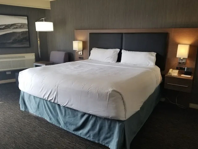 غرفة قياسية بسرير فردي، Holiday Inn Express Edmonton Downtown 3/5