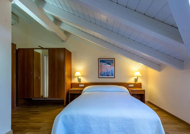 Room, Single Bed, Attic، Les Bains de Saillon 1/5