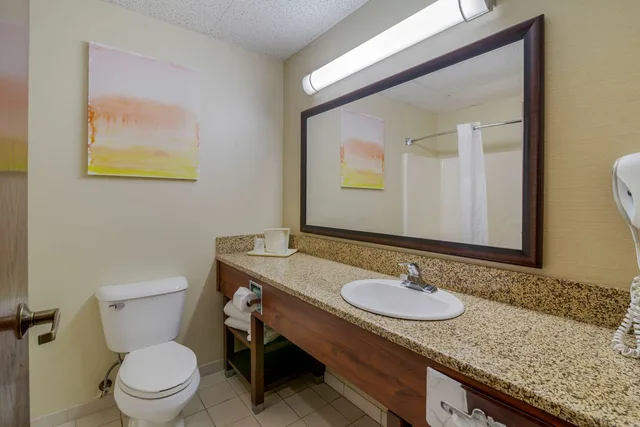 غرفة بسرير كينج، Comfort Suites Bismarck, ND 4/4