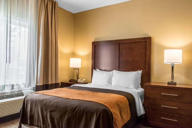 Efficiency, Suite, Queen Bed، Comfort Inn Lancaster County Columbia, PA 1/2