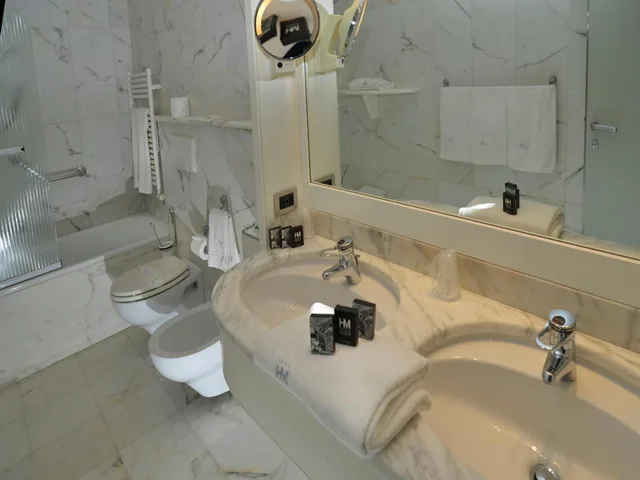 Standard, Double Bed, Sure Hotel by Best Western Milano 4/4