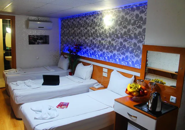 غرفة قياسية بسرير مزدوج أو سريرين منفصلين، Avcilar Inci Hotel 3/10