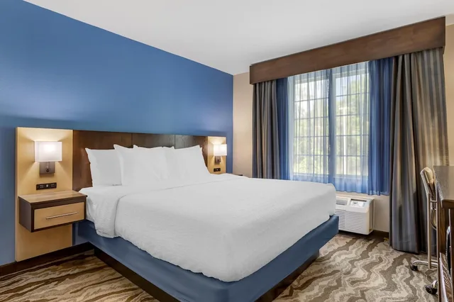 جناح بسرير كينج بإطلالة على النهر مع أريكة، Best Western Plus River Escape Inn & Suites 2/9