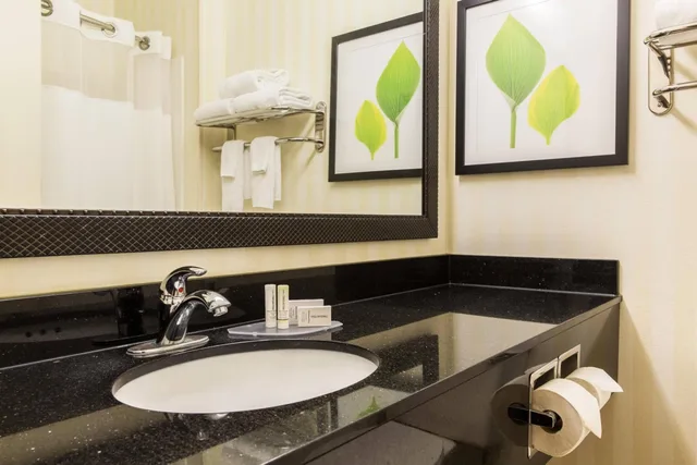 Room, King Bed, Bathtub, Accessible, Fairfield Inn and Suites Billings 7/10