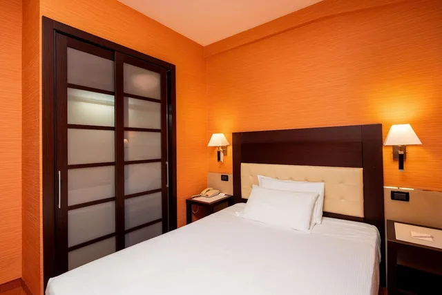 Economy, French Bed, Best Western Gorizia Palace Hotel 1/7