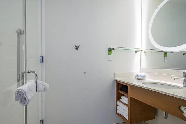 استوديو بسرير كينج مع أريكة، SpringHill Suites Tampa North/I-75 Tampa Palms 3/4