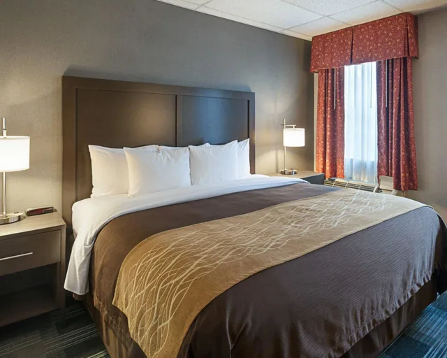 Courtyard, Standard, King Bed، Comfort Inn Ballston 5/8