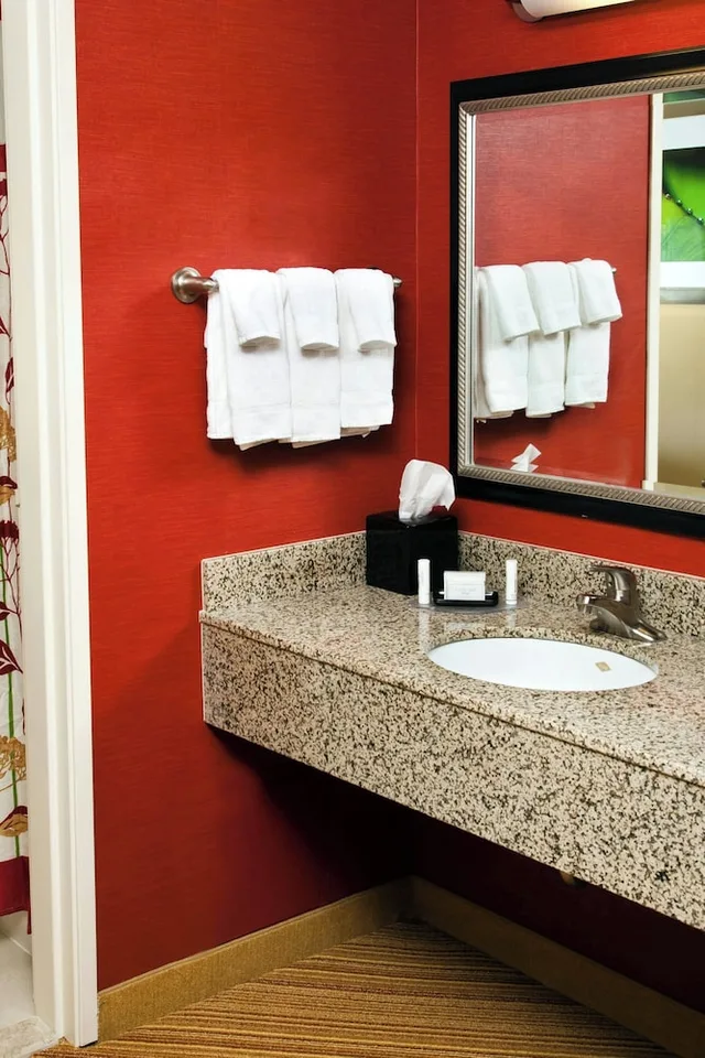 1 Bedroom, Suite, King Bed, City View, Sofa, Courtyard By Marriott La Crosse 4/4