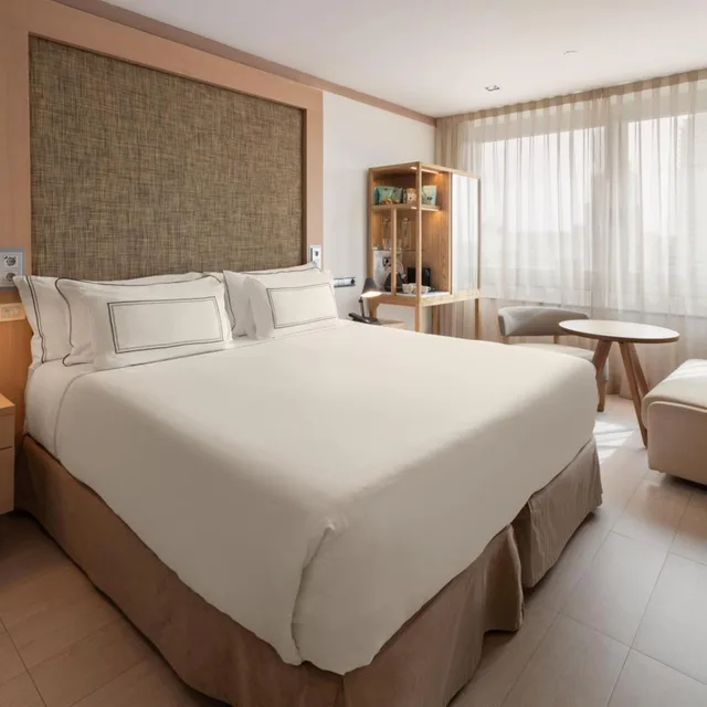 جناح جونيور، Melia Madrid Princesa Hotel 2/4