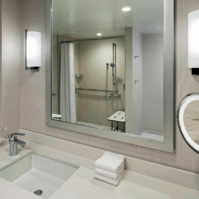 غرفة ديلوكس بسرير كينج بإطلالة على المدينة بحوض استحمام لذوي الإعاقة، Sheraton Norfolk Waterside 5/9
