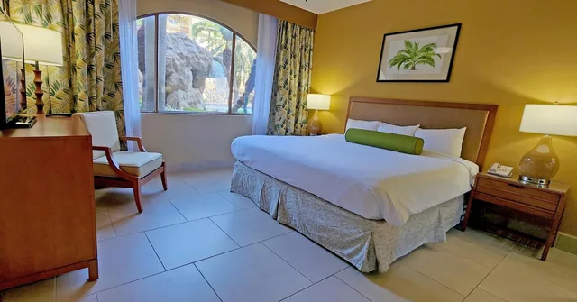 غرفة ديلوكس بسرير كينج بغرفة نوم واحدة، Eagle Aruba Resort 1/1