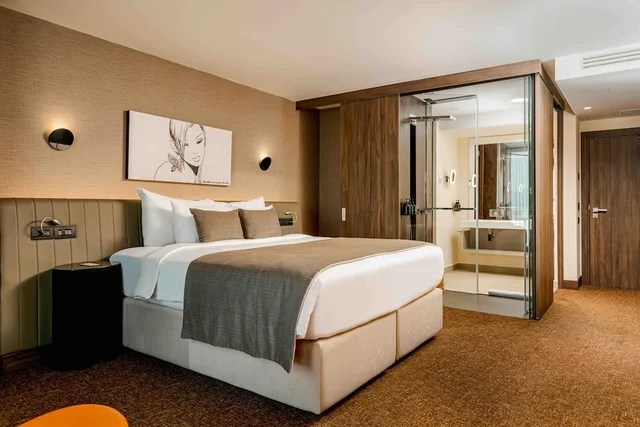 غرفة بزنس بسرير كوين، Kronwell Brasov Hotel 3/10