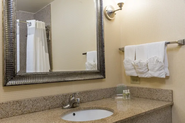1 King Standard Mobil Acc Roll In Shwr، Holiday Inn Aurora North Naperville 3/4