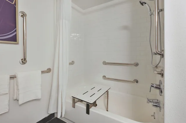 غرفة قياسية بسرير كينج لذوي الإعاقة، Hotel Indigo Detroit Downtown 9/9