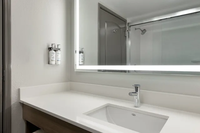 Standard, King Bed, Holiday Inn Express Savannah Airport Ex Comfort Suites 2/2