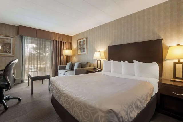 غرفة قياسية بسرير كينج مع أريكة، Best Western Brantford Hotel Conference Centre 2/6