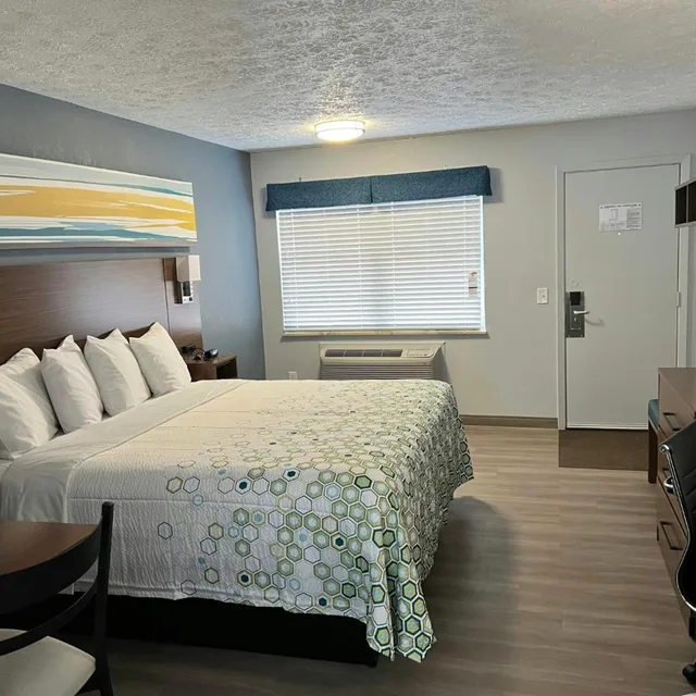 Studio, King Bed, Red Roof Inn Georgetown - Lexington North 3/10