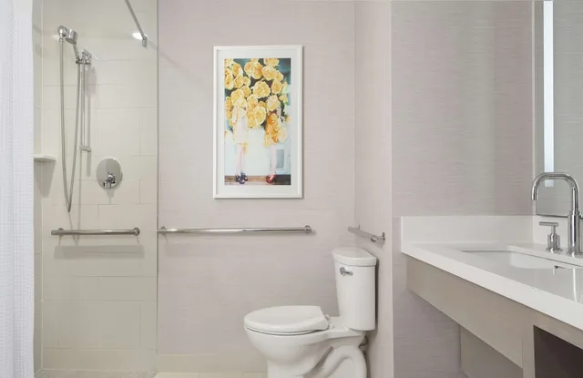 غرفة تنفيذية بسرير كينج بإطلالة على المدينة لذوي الإعاقة، Hilton West Palm Beach 3/3