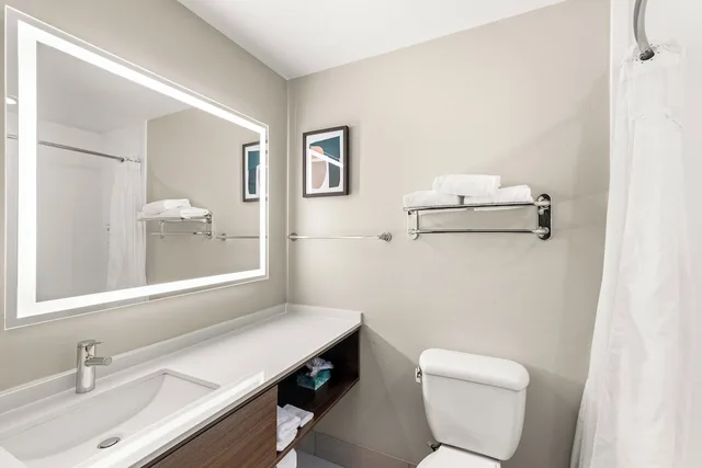Standard, King Bed, Holiday Inn Austin North - Round Rock 7/8