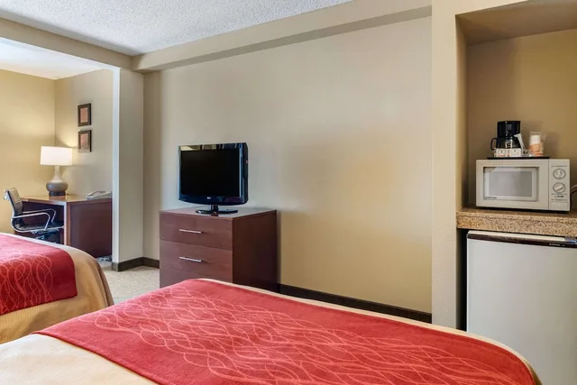 غرفة بسرير كينج لذوي الإعاقة، Comfort Inn Suites Suwanee Sugarloaf 4/6