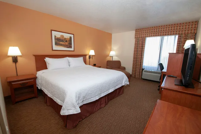 Room, King Bed, Hampton Inn Suites Las Vegas Henderson 3/5