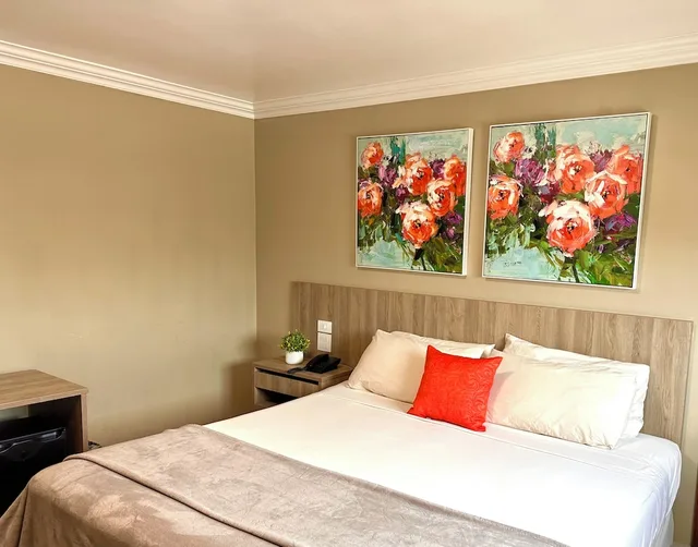 Superior, King Bed, Hotel Andros 4/5