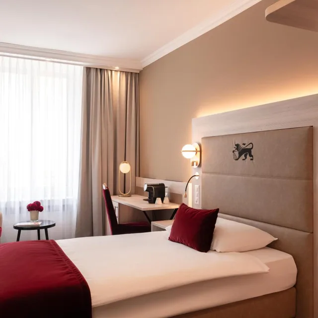 غرفة بزنس ديلوكس مفردة، HOTEL ST GOTTHARD 3/10