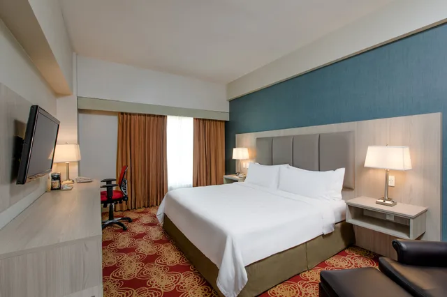 غرفة قياسية بسرير كينج، Holiday Inn Managua - Convention Center 1/8