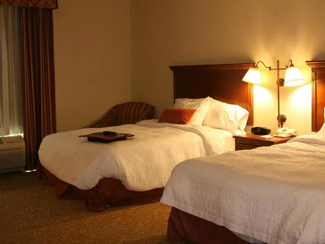 جناح بسريرين كوين مع أريكة لذوي الإعاقة، Hampton Inn Suites Lodi 3/5