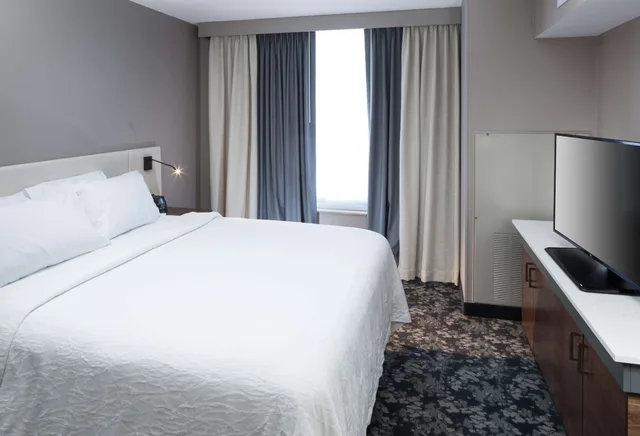 Evolution, Junior Suite, King Bed, Sofa، Hilton Garden Inn Nashville-Vanderbilt 1/3
