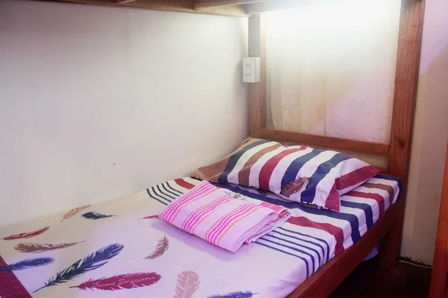 سكن مشترك مختلط أساسي بأسرّة بطابقين، J's Backpackers Hostel 1/2